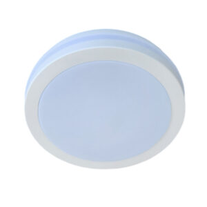 LED Plafoniera alb ⌀292mm IP65 40W CCT 3000K/4000K/6500K