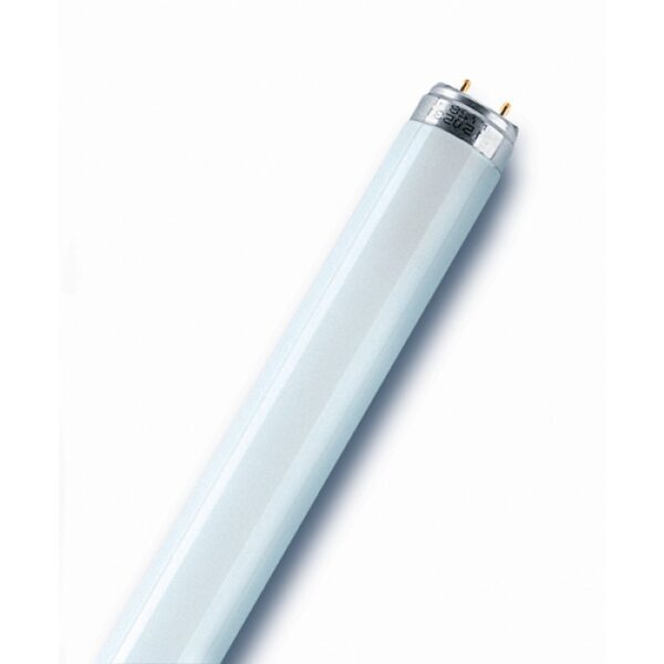 Tub fluorescent 35W, G5, T5, 220V, 2900Lm, 6500 lumina rece LB Light.